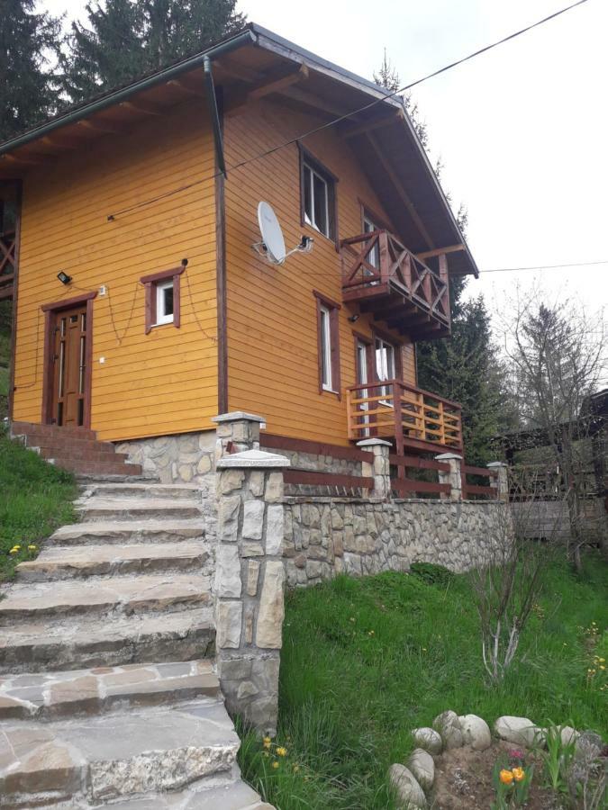 Смериковий Yaremtche Extérieur photo