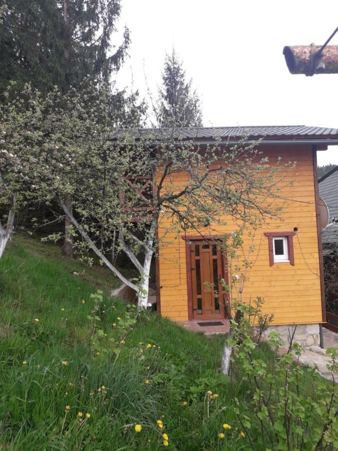 Смериковий Yaremtche Extérieur photo